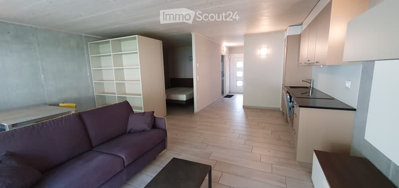 Saxon, Magnifique loft meublé de 60 m² à louer à Saxon (5)