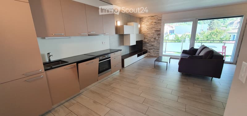 Saxon, Magnifique loft meublé de 60 m² à louer à Saxon (1)