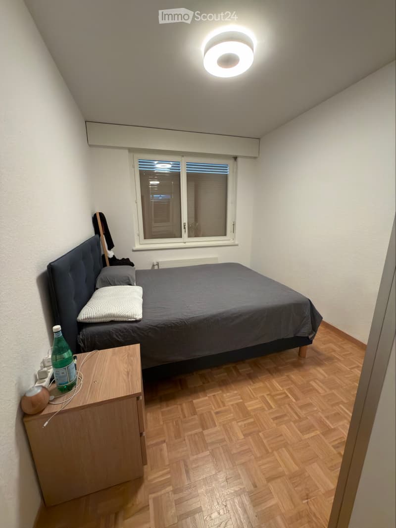 Reprise de bail Appartement calme quartier des HUG (5)