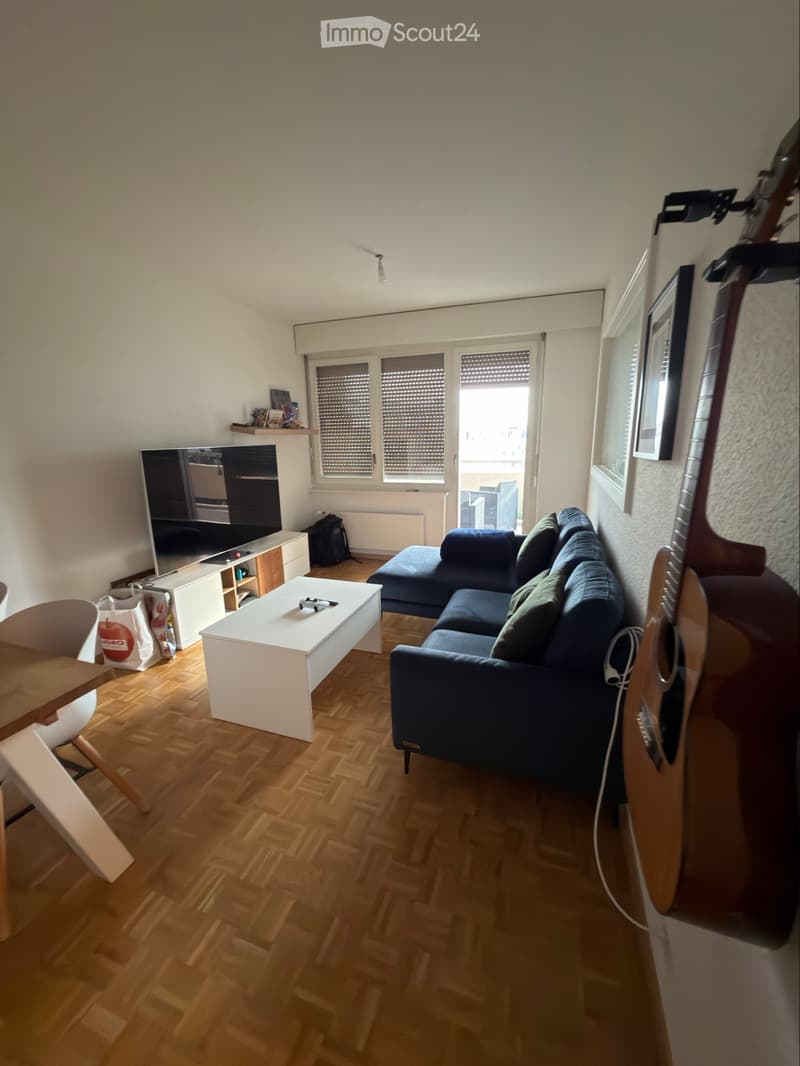 Reprise de bail Appartement calme quartier des HUG (1)