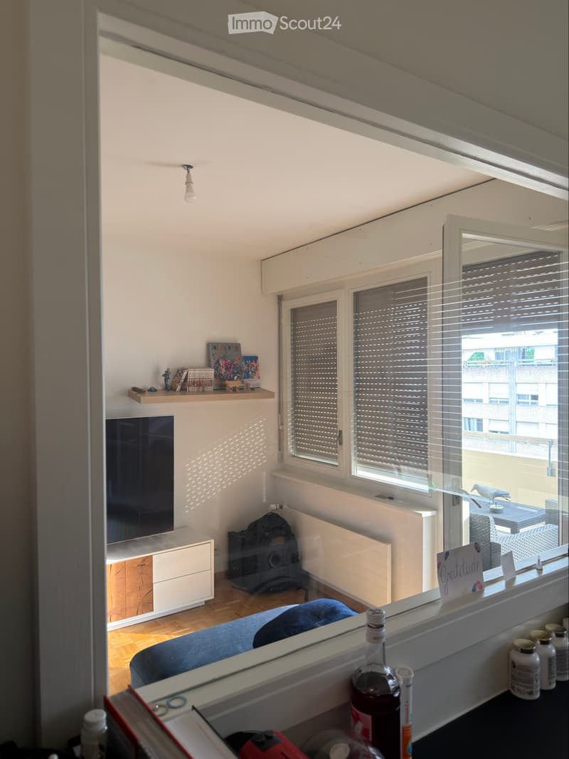 Reprise de bail Appartement calme quartier des HUG (3)