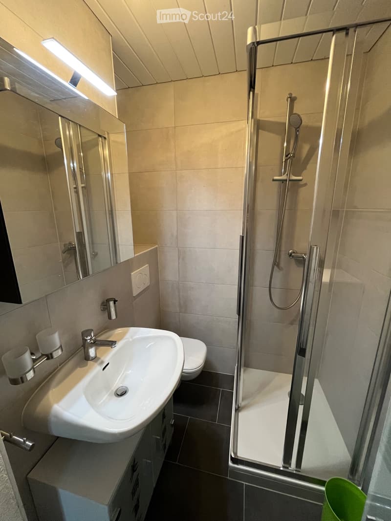 Duplex de 2,5 pièces à 15 min. de Lausanne-Vennes (3)