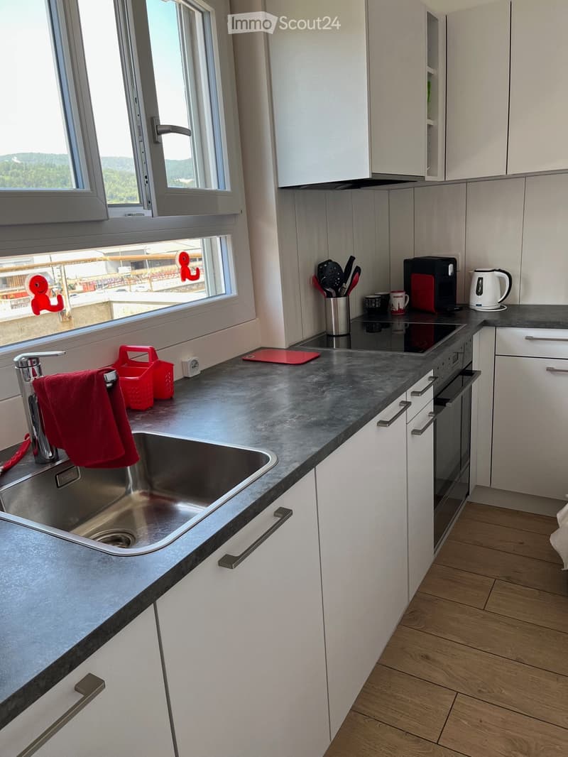 Charmante 2.5-Zimmer-Dachwohnung mit Bergblick in Biel (1)
