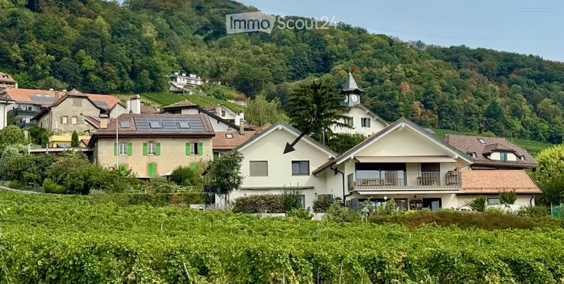 VILLA A LOUER POUR 6 mois (janvier-juin 2027) (5)