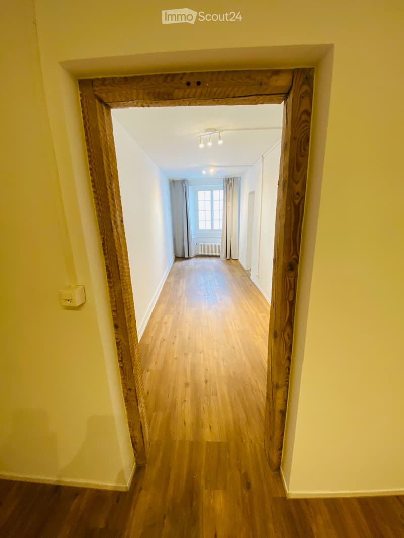 Möblierte 2-Zimmer Altstadtwohnung in Olten zu vermieten (5)