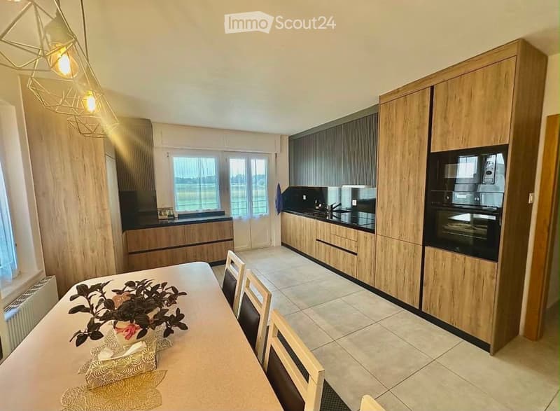 À louer superbe appartement spacieux et lumineux (1)