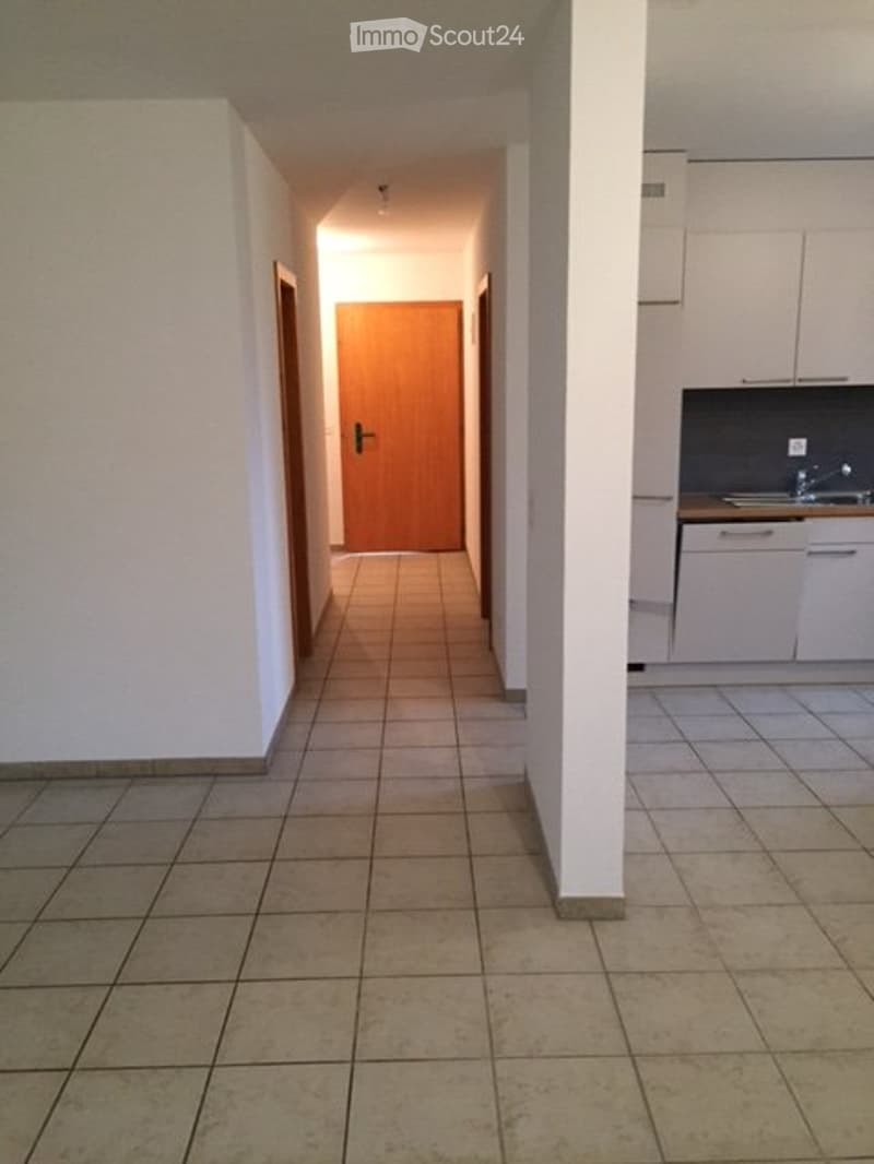 Grand appartement lumineux proche de toutes commodités (2)
