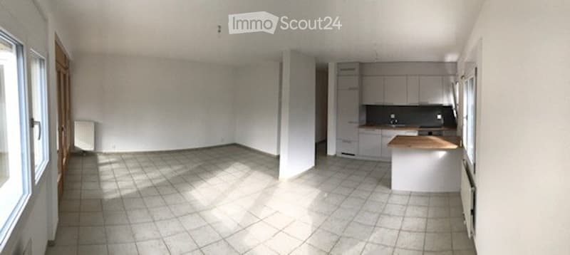 Grand appartement lumineux proche de toutes commodités (5)