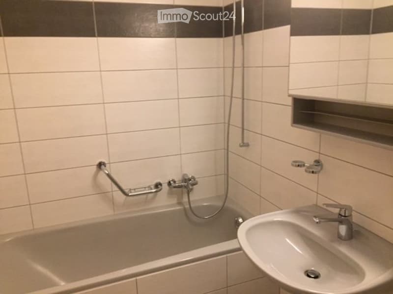 Grand appartement lumineux proche de toutes commodités (4)