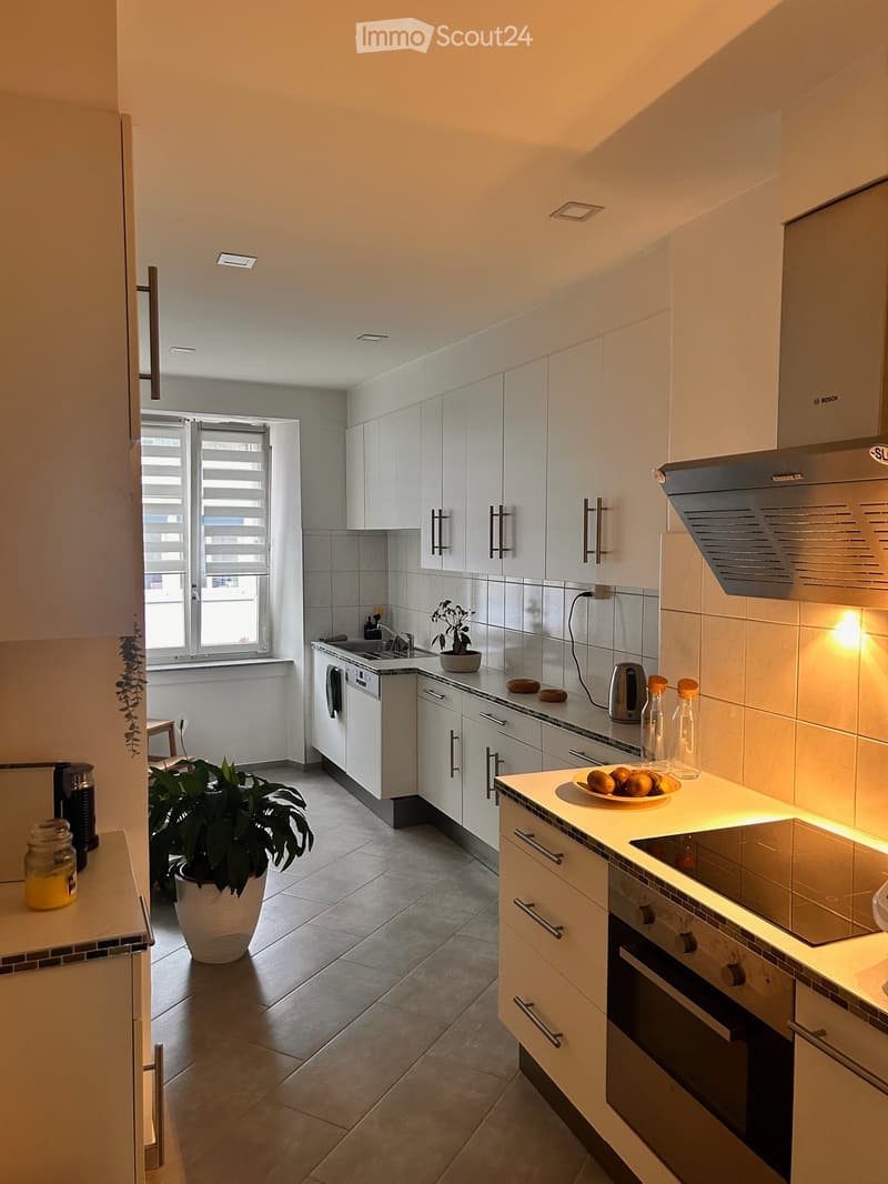 Magnifique appartement 3,5 pièces (2)