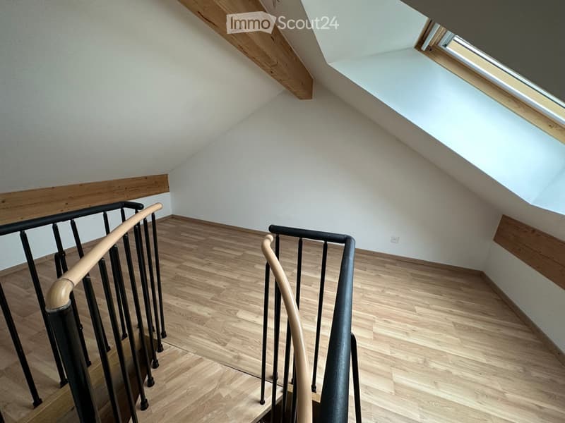 Joli appartement de 4.5 dans une ferme (5)