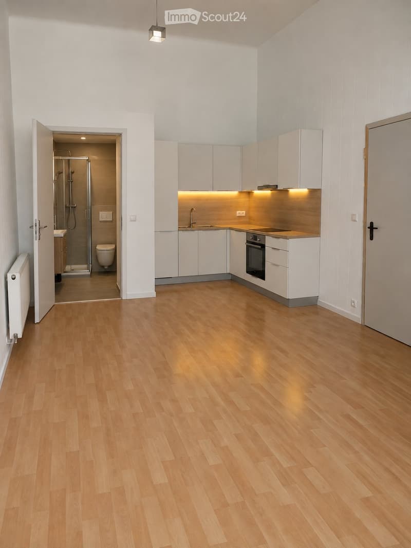 Studio à louer 27 m² (1)