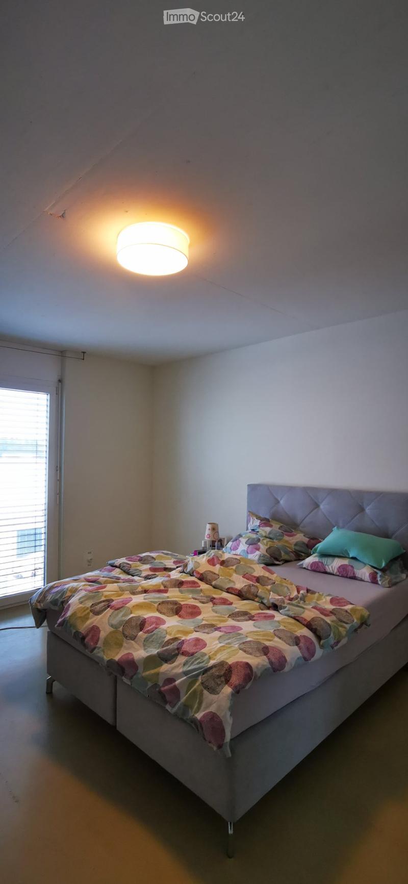 Grosszügige 3,5 Zimmer-Loftwohnung (3)