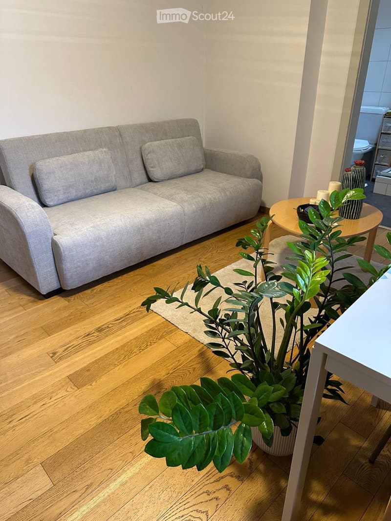 Sion, charmant appartement rénové et meublé, sous les toits (5)
