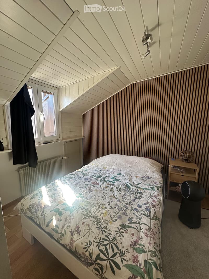 Sion, charmant appartement rénové et meublé, sous les toits (4)