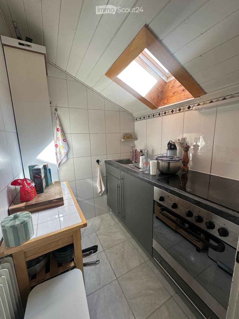 Sion, charmant appartement rénové et meublé, sous les toits (3)