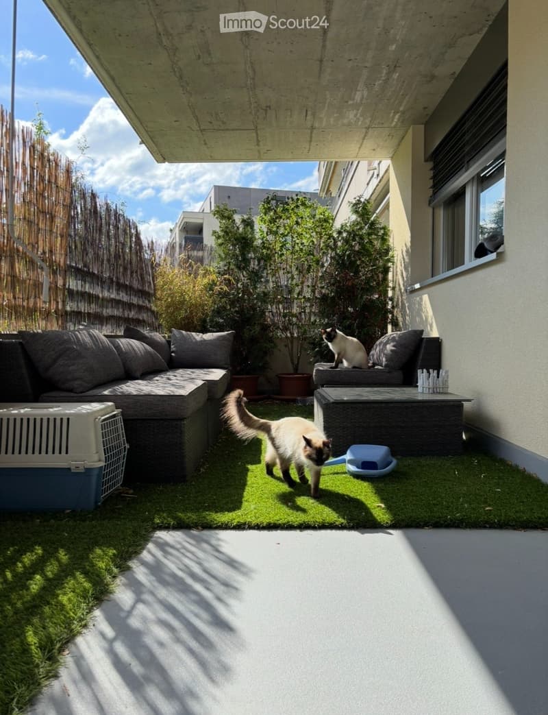 Appartement (2)