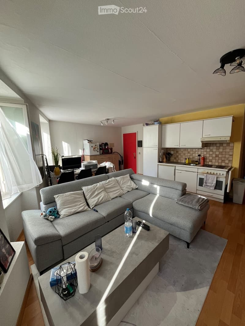 Appartement 2 pièces (2)