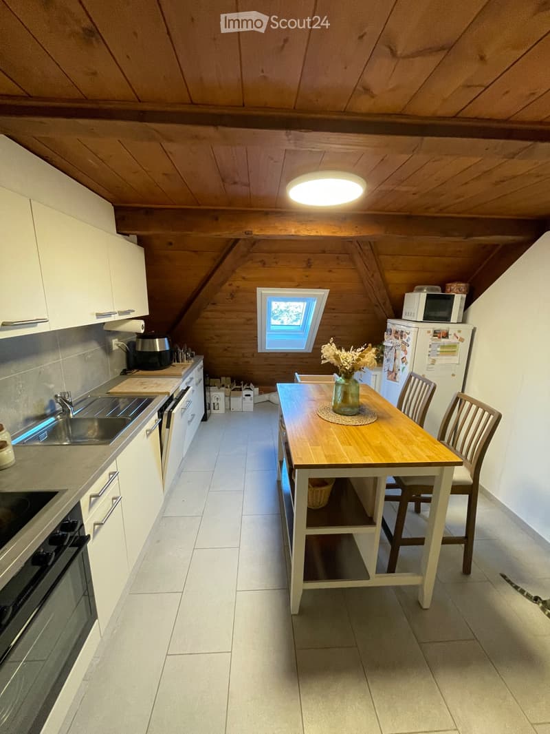 Reprise de bail - Charmant appartement avec vue sur le lac (3)