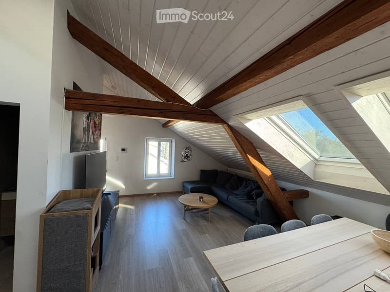 Magnifique appartement 3 pièces avec poutres apparentes (2)