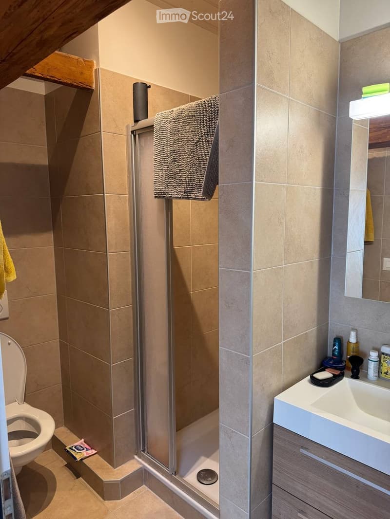 Magnifique appartement 3 pièces avec poutres apparentes (7)