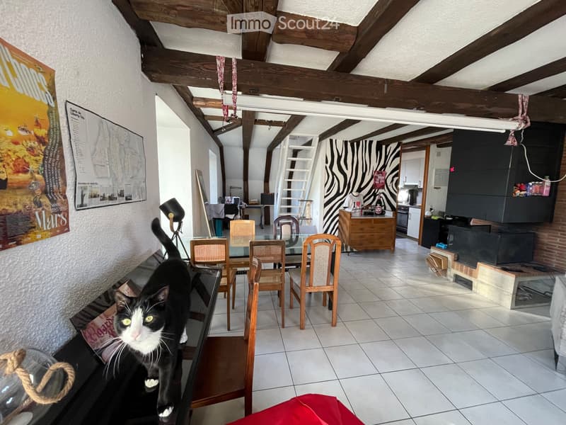 Duplex spacieux et plein de charme (1)