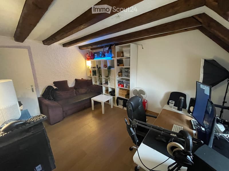 Duplex spacieux et plein de charme (4)