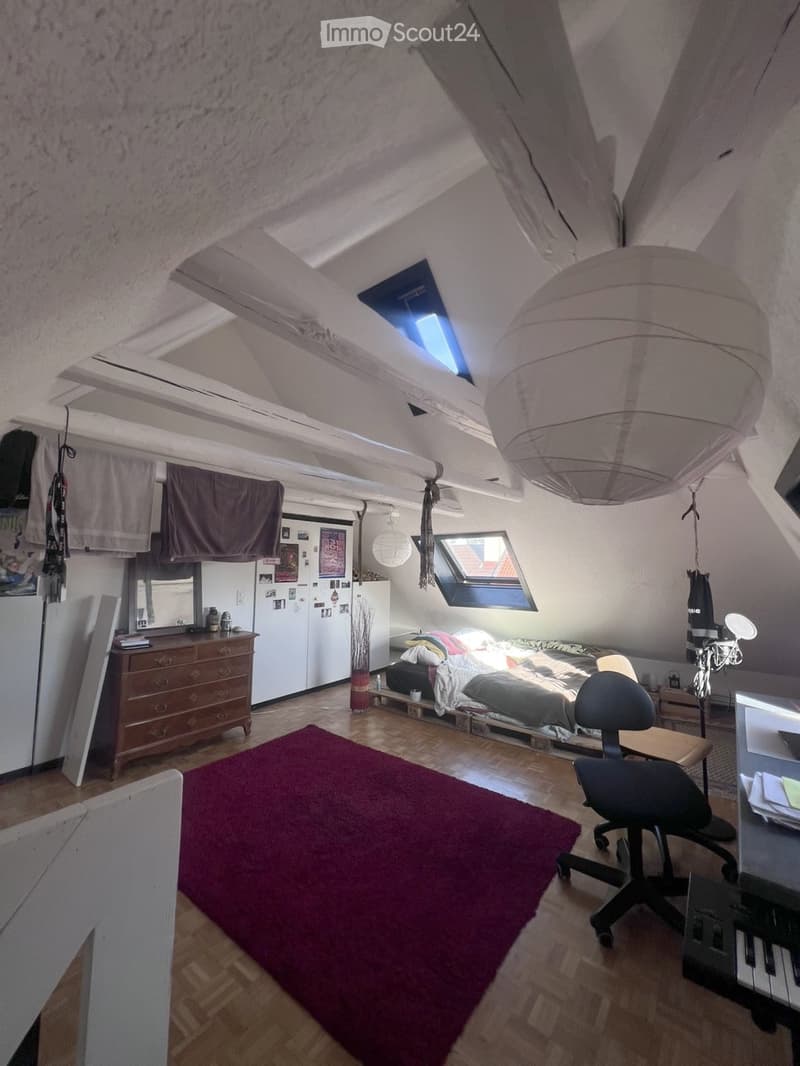 Duplex spacieux et plein de charme (2)