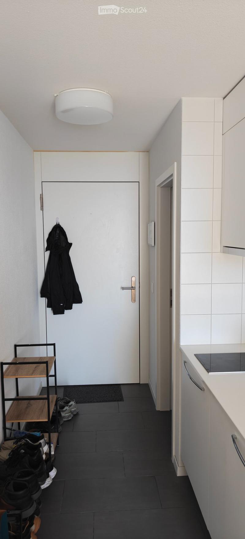 Studio spacieux et meublé à Crissier, charges comprises (3)