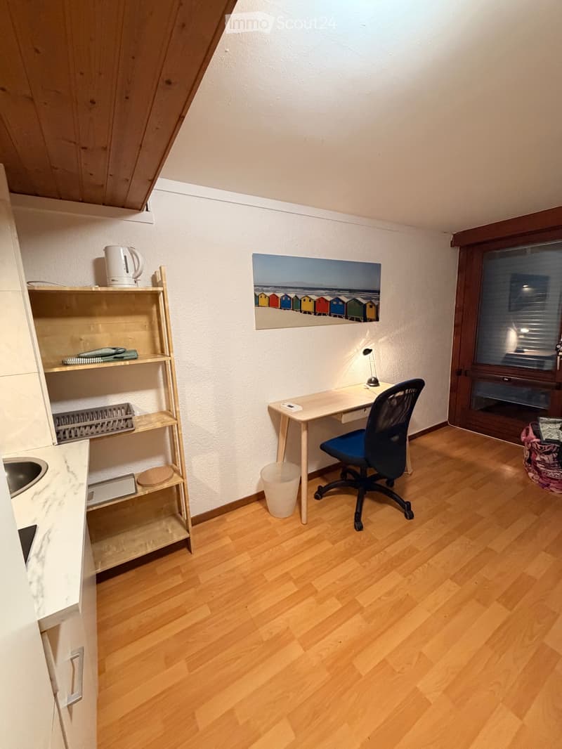Joli studio meublé (4)