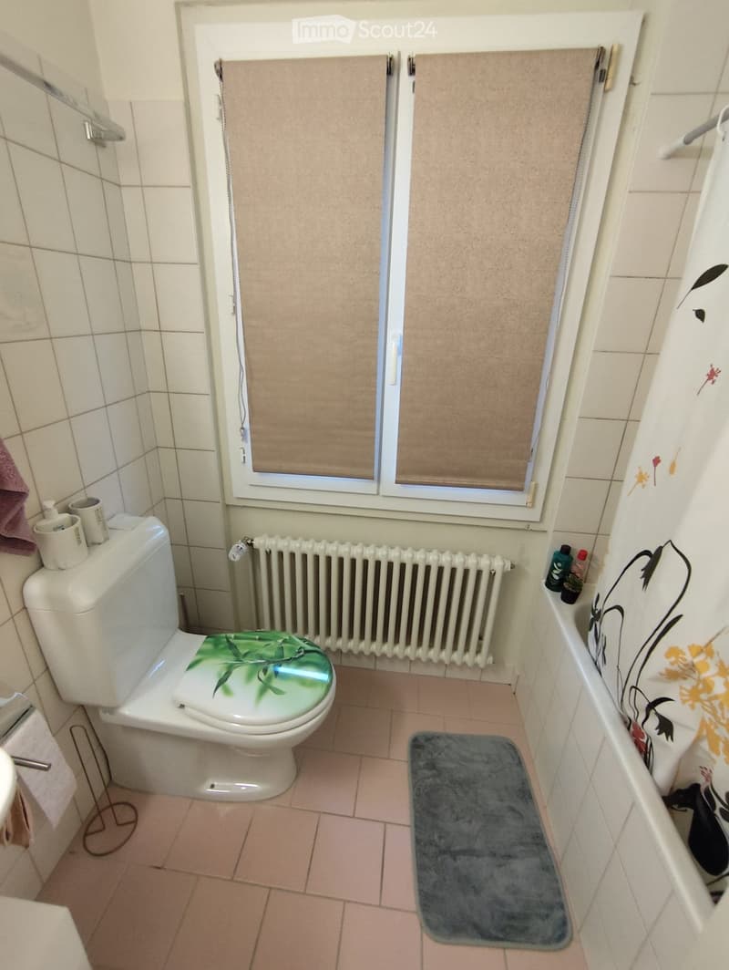 Appartament a louer 3 etage pas (ascenseur) (5)