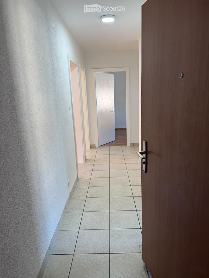 Bel appartement tout juste rénové au coeur de St-Maurice (3)