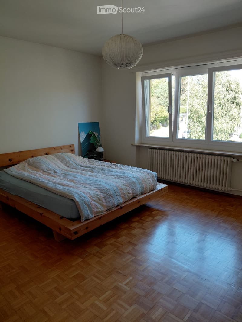 Lumineux appartement de 4 pièces à côté du Muzoo (3)