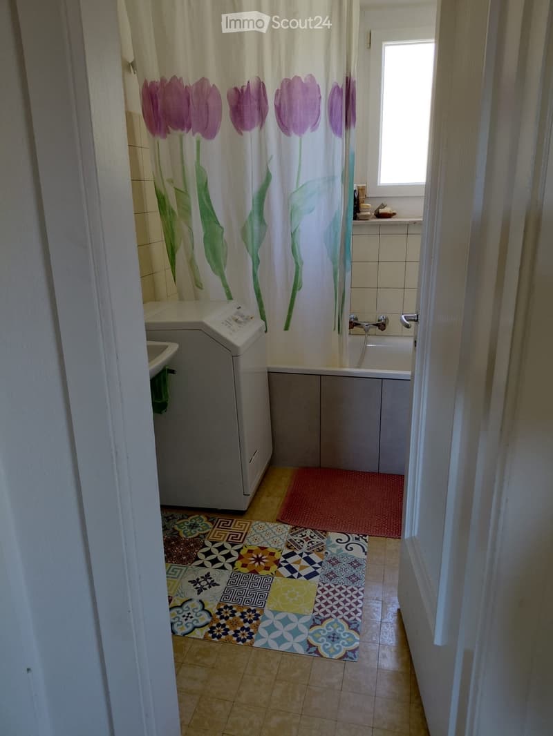 Lumineux appartement de 4 pièces à côté du Muzoo (5)