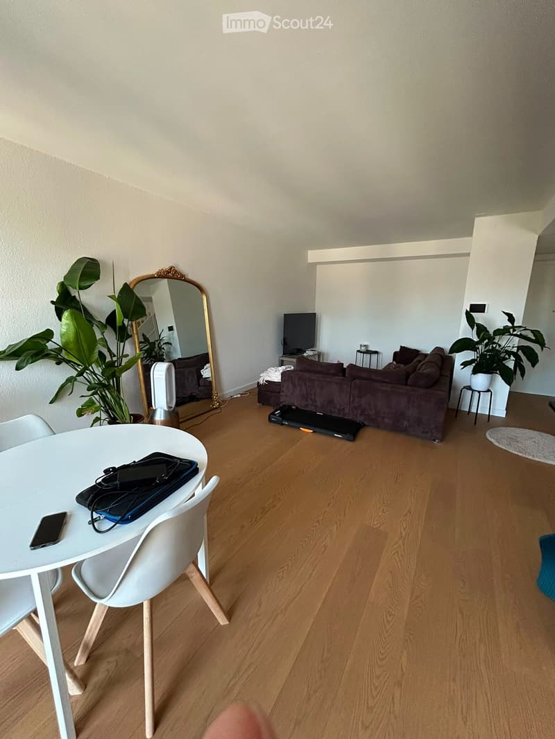 Élégant 4 pièces neuf au cur de Genève Rue de Rive (4)