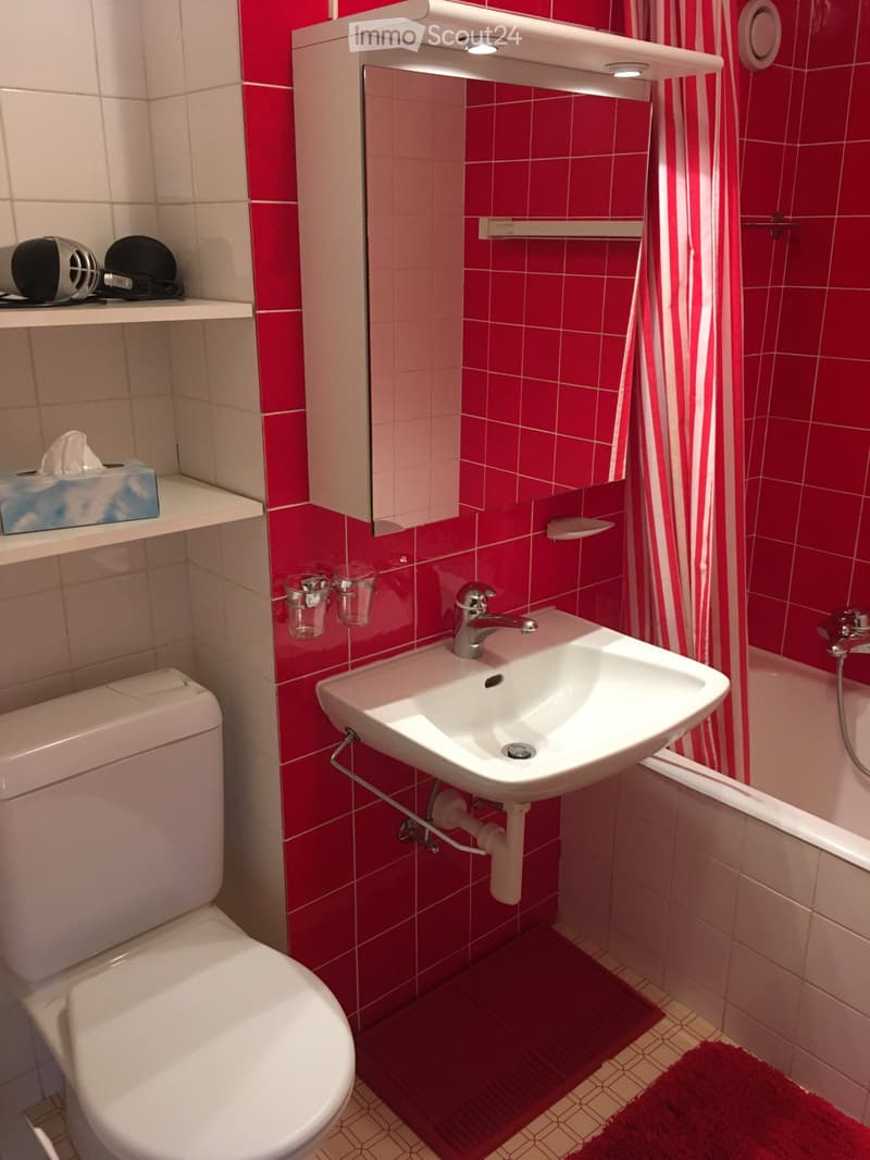 Chaleureux 2,5 pièces meublé et équipé (incl. place de parc) (4)
