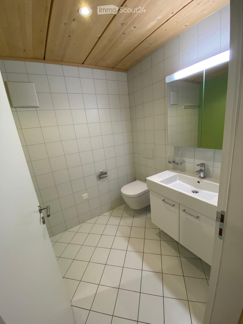 Cet appartement peut, également servir de bureau (2)