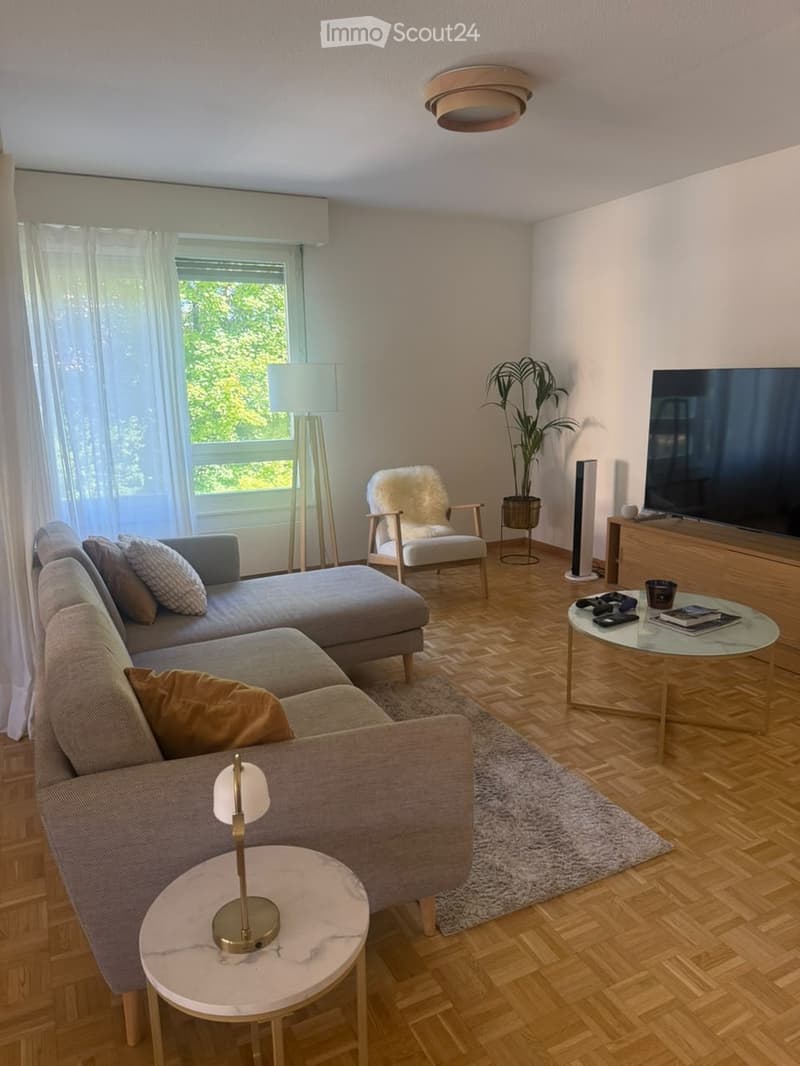 Appartement 6 pièces à Champel (Genève) (2)