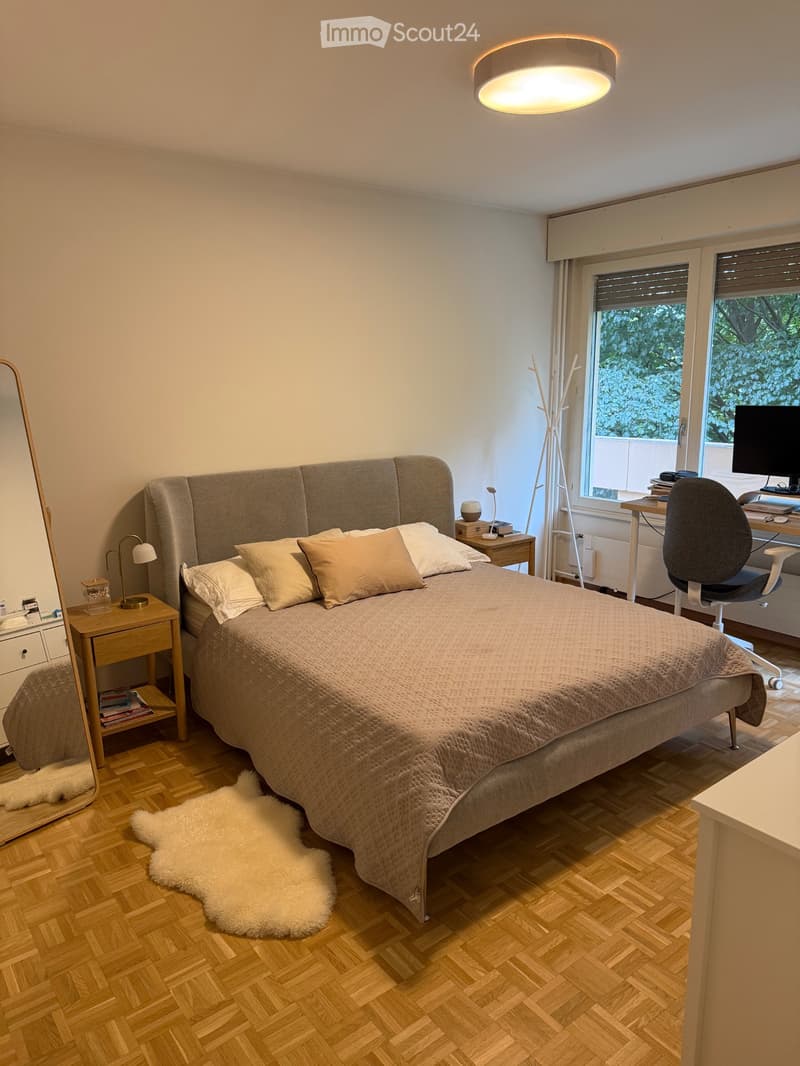Appartement 6 pièces à Champel (Genève) (3)