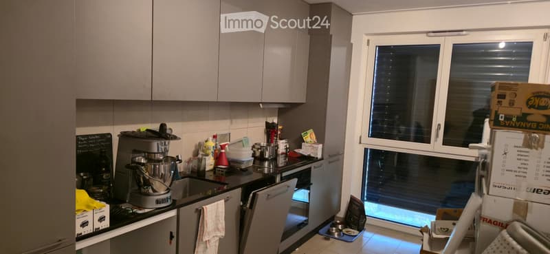 Appartement 2.5 Bramois (3)