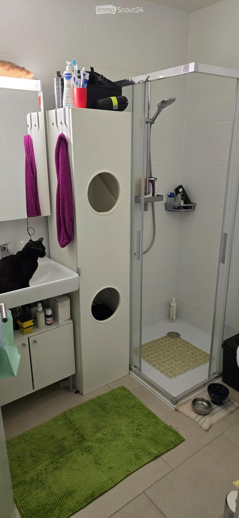 Appartement 2.5 Bramois (5)