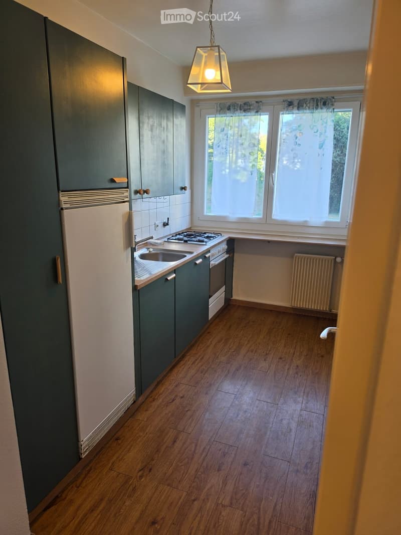 5 pièces a Genève. (4)