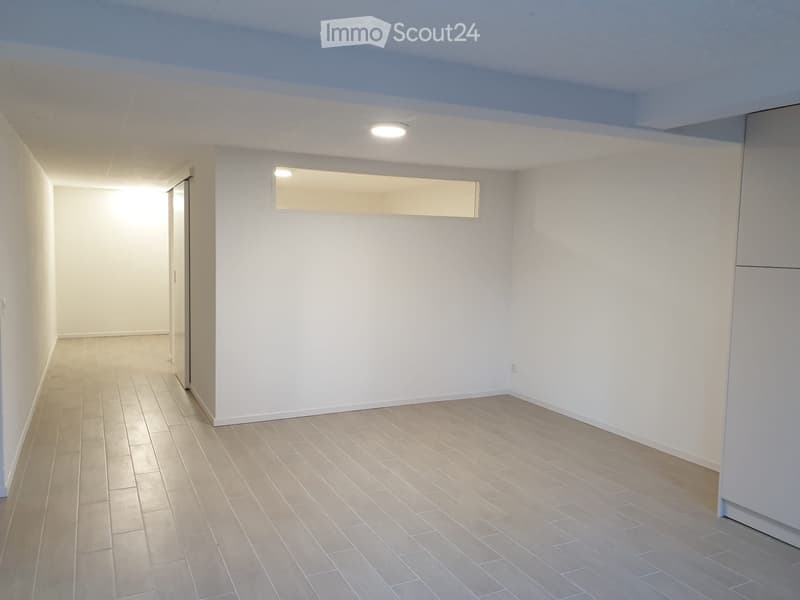 Bel appartement 1,5 pièce (2)