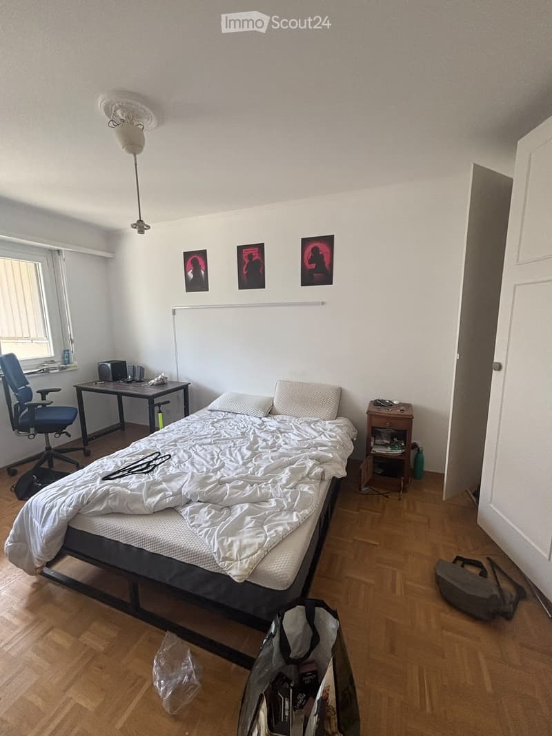 Appartement de 4 pièces à Genève - Quartier Crêt de Champel (2)