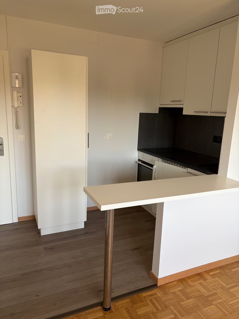 Appartement 2 pièces au Landeron (2)