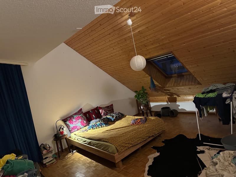 Grand duplex quartier hôpital (5)