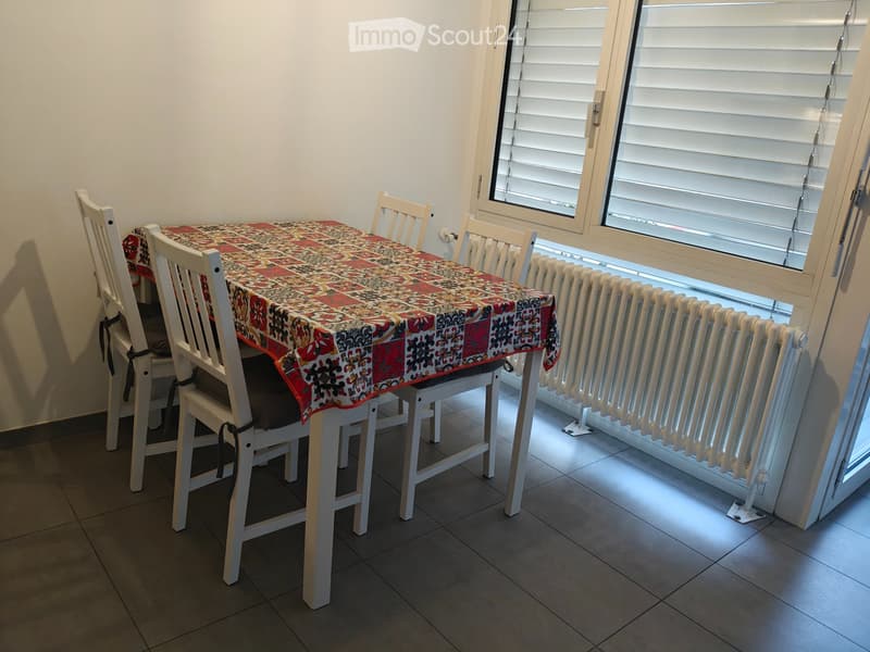 PARADISO  2.5 locali ristrutturato con terrazza e garage (2)