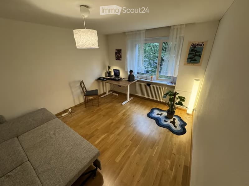 Studio 20m² meublé centre Zurich calme, verdoyant (2)