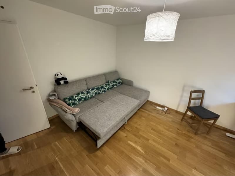 Studio 20m² meublé centre Zurich calme, verdoyant (1)
