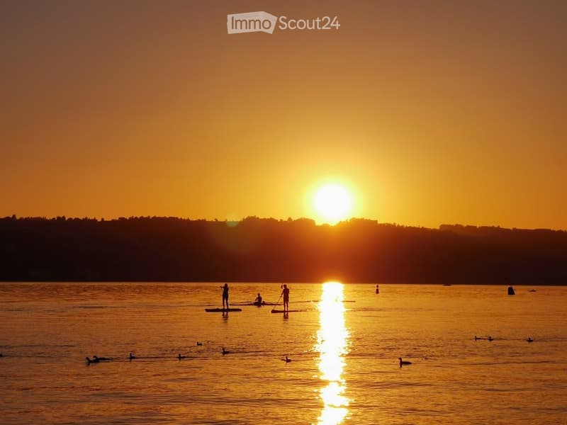 Renting rooms at the beautiful Goldcoast Lake Zurich Area (4)